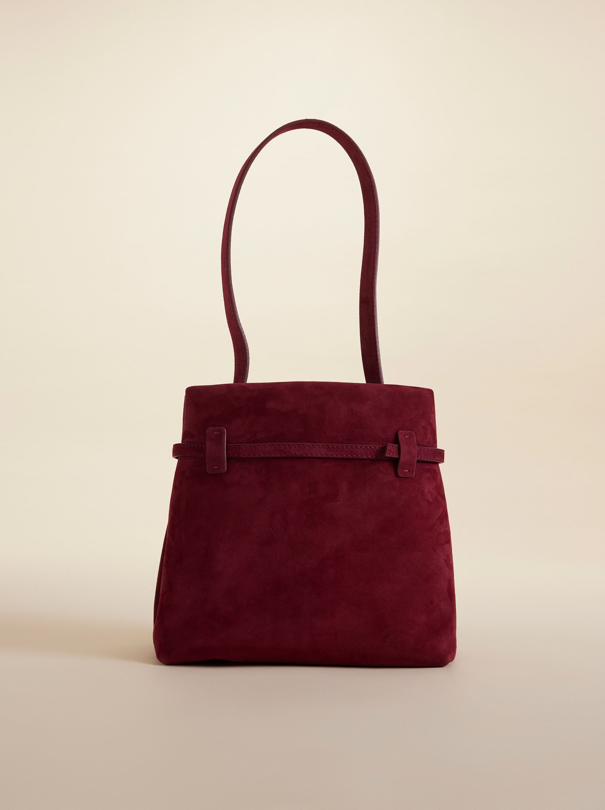 Mini Tote du Jour Burgundy Suede 4