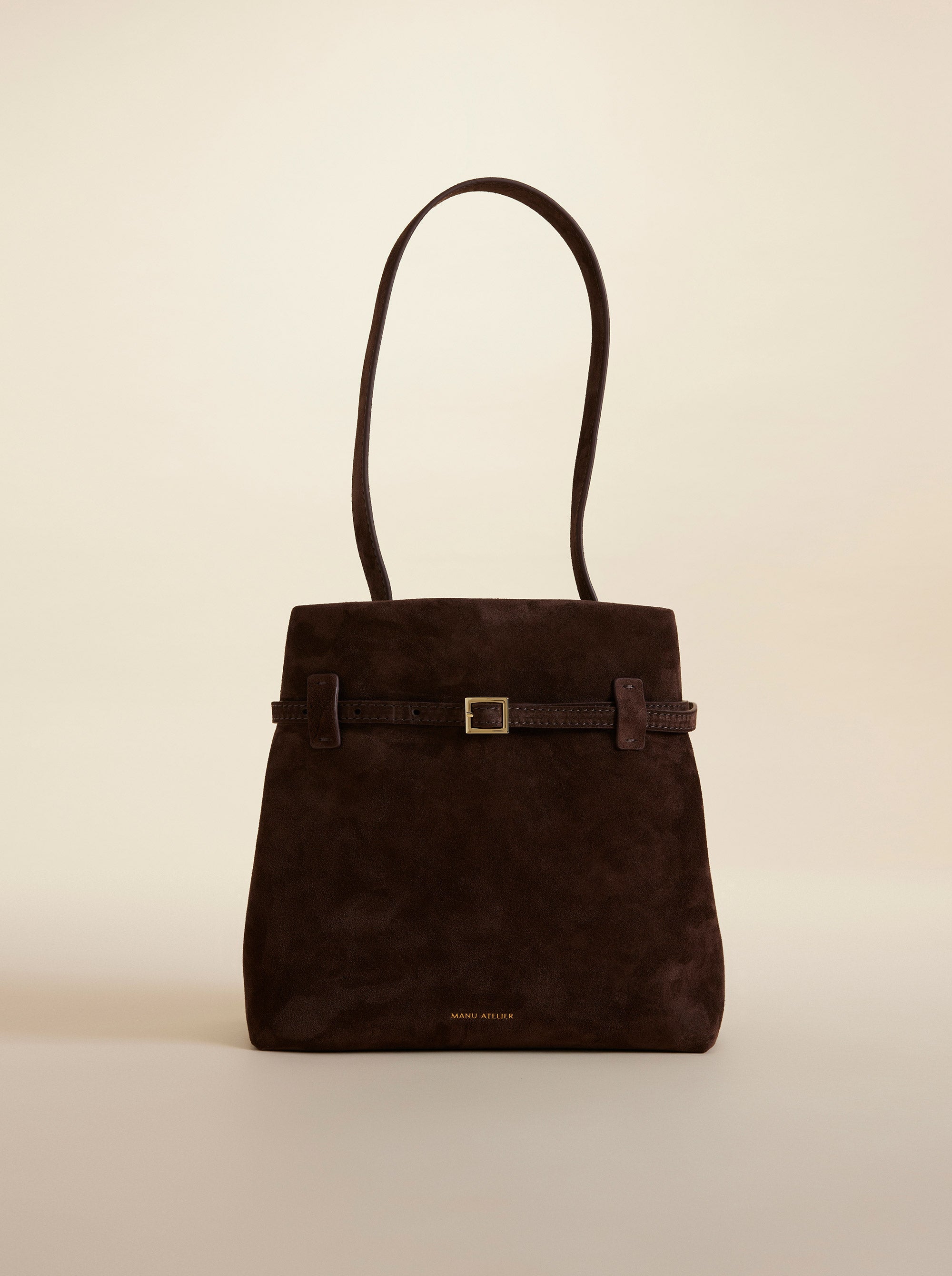 Mini Tote du Jour Deep Brown Suede 