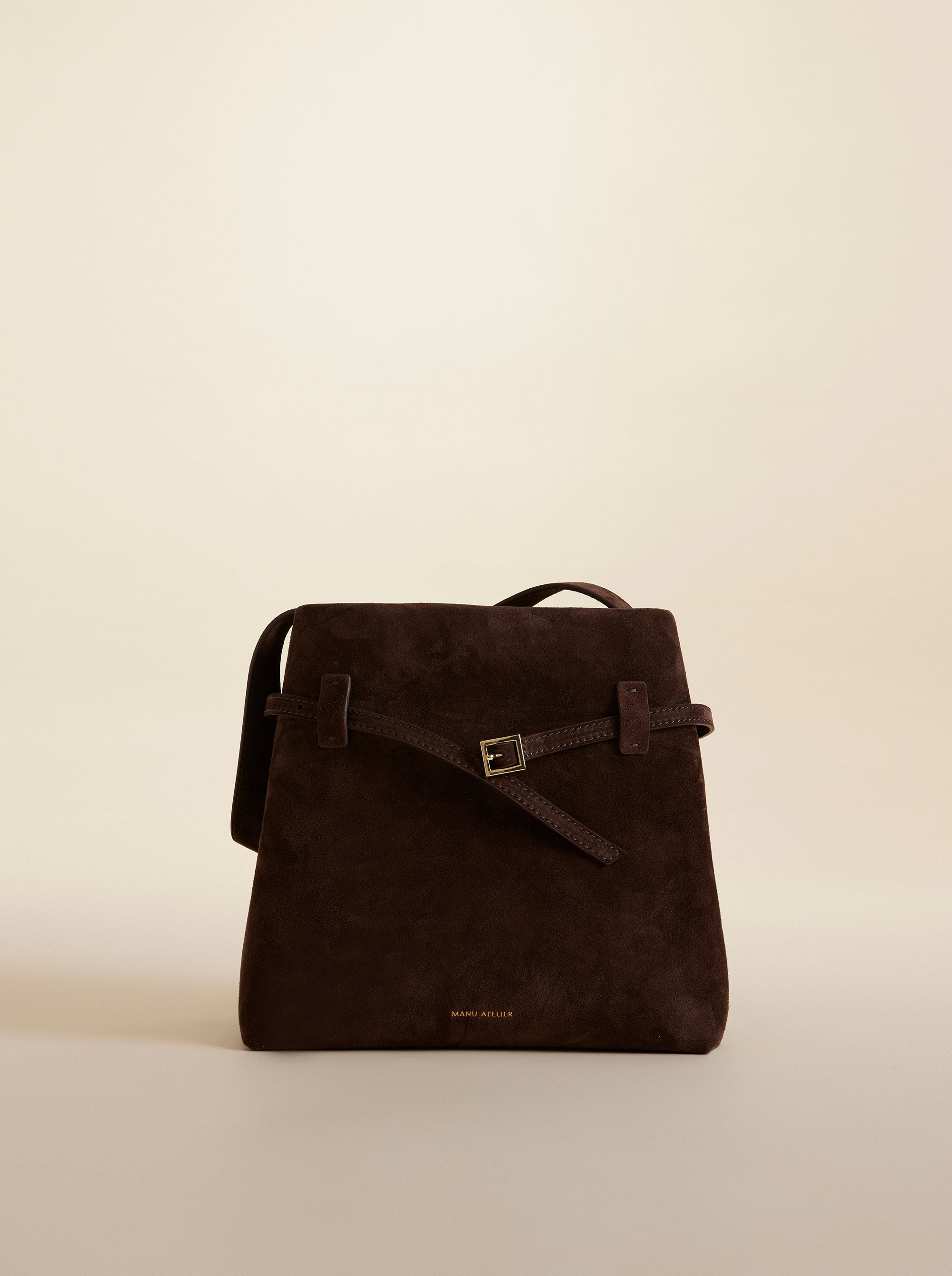 Mini Tote du Jour Deep Brown Suede 