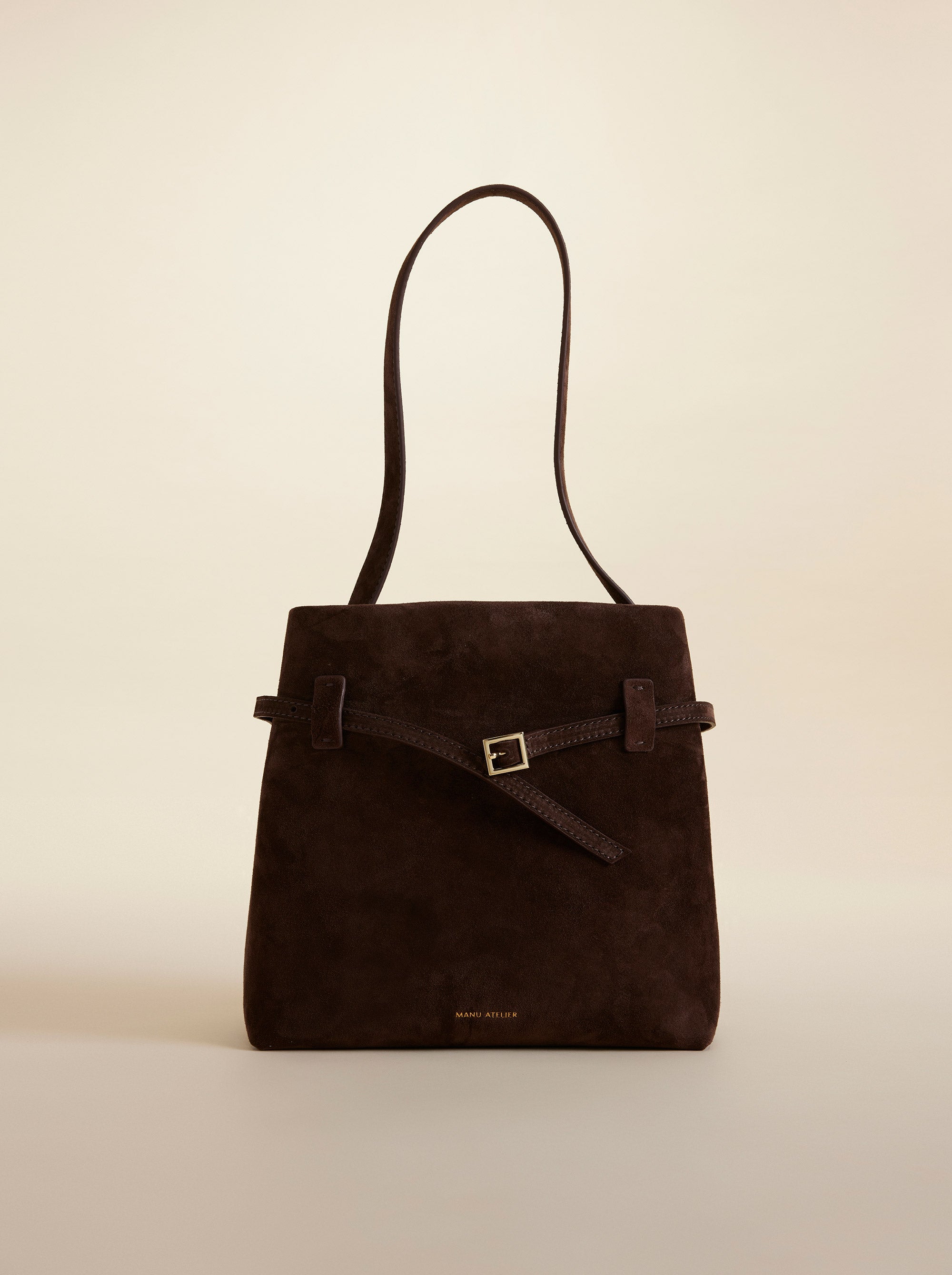 Mini Tote du Jour Deep Brown Suede 